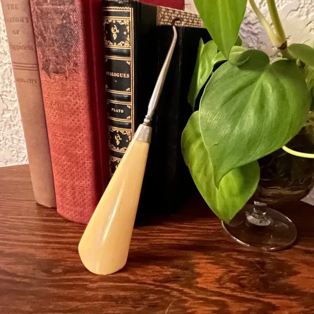 Antique Faux Ivory Vintage Victorian Shoehorn and Button Hook Made in England